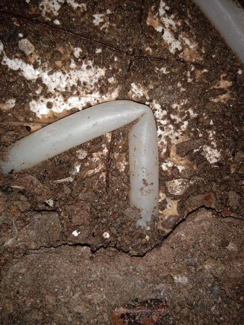 江安堵点精准查找